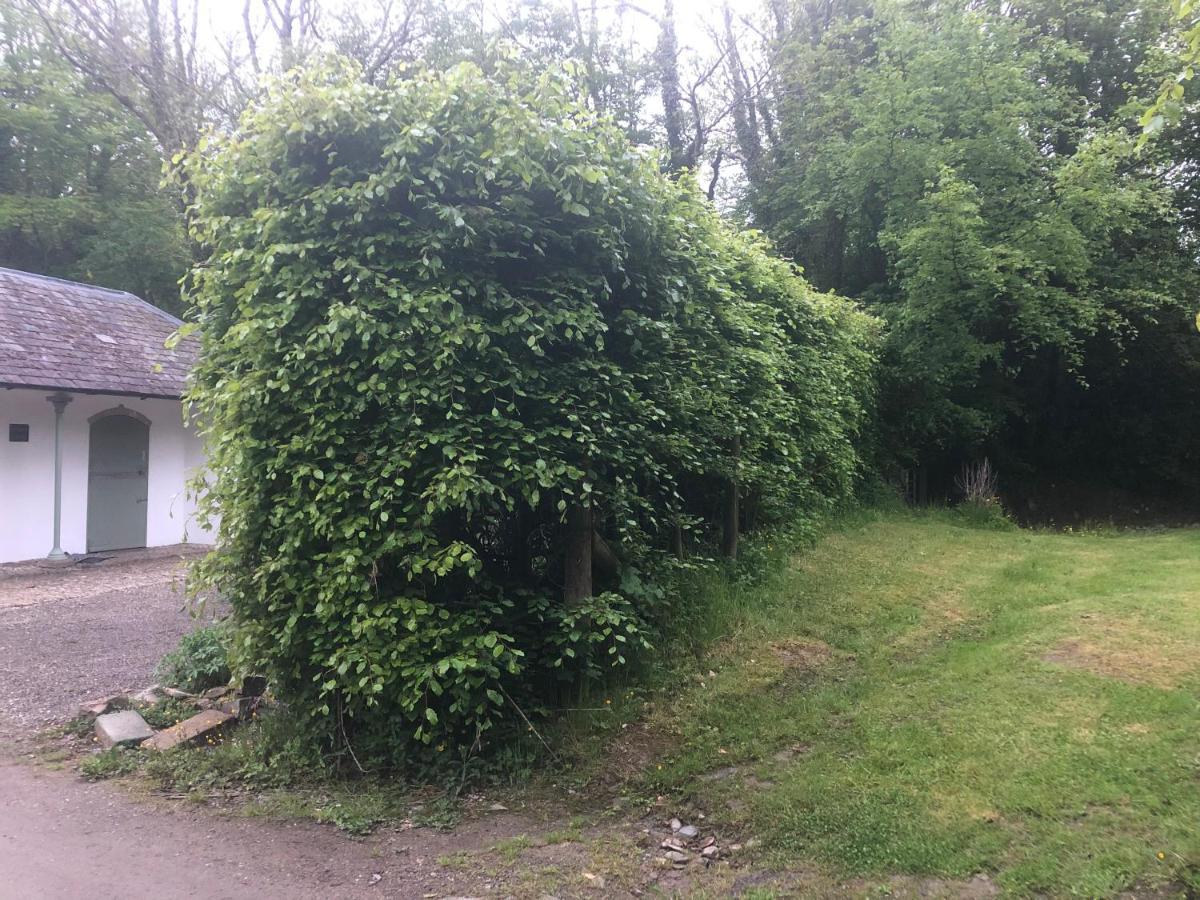 Stables Cottage, Idyllic Location Stunning Views Llandysul Exterior photo